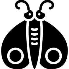 Moth