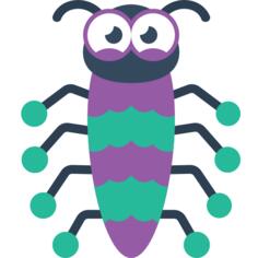 Insect