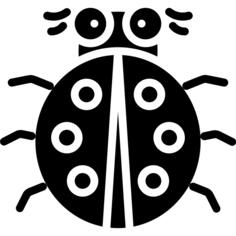 瓢虫