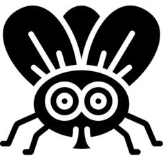 Fly