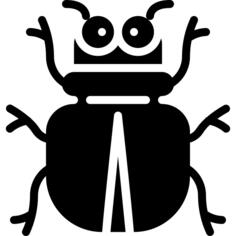 Beetle