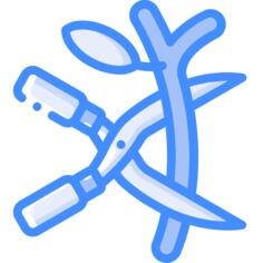 Branch