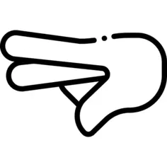 盯