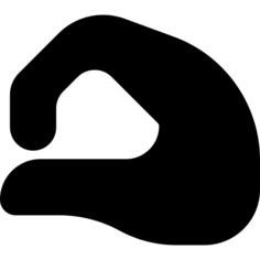 字母o
