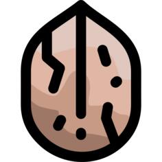 Walnut