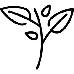科
