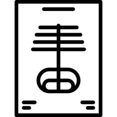 骨架