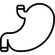 胃