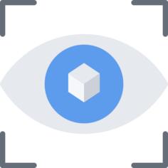 Eye
