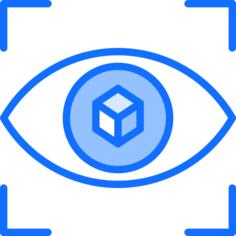 Eye