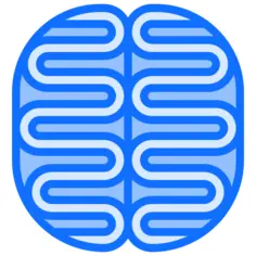Brain