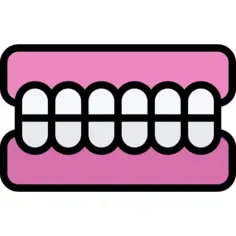 Jaw