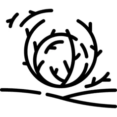 风滚草