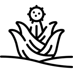 仙人掌