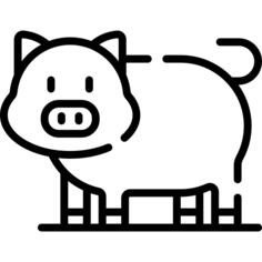 Pig