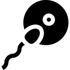受精