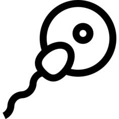 受精