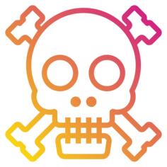 头骨