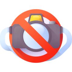 No camera
