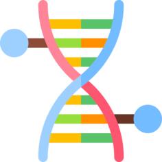 脱氧核糖核酸