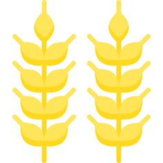 谷类
