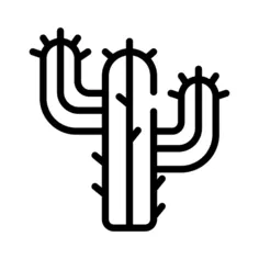 仙人掌