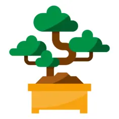 Bonsai