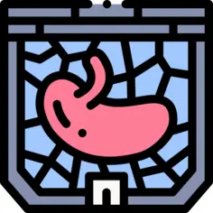 Organ donation