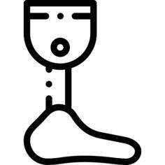 Prosthesis