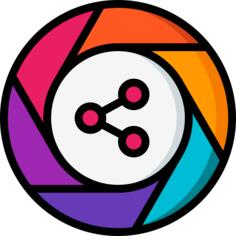 分享