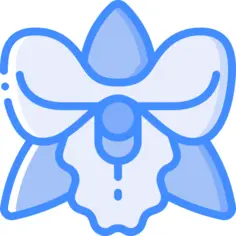 Orchid