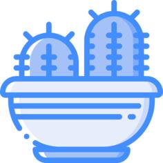 仙人掌