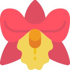 兰花
