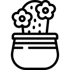 仙人掌