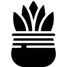 芦荟