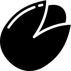 坚果