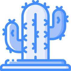 仙人掌