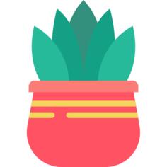 芦荟