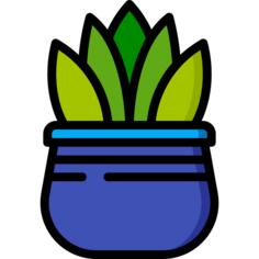 芦荟