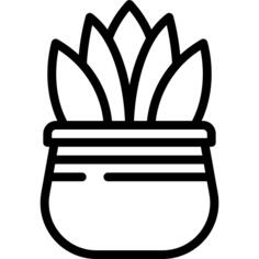 芦荟