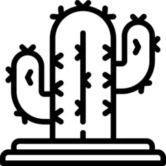 仙人掌