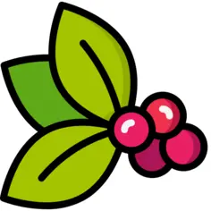 Berries