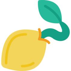 种子