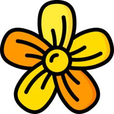 开花