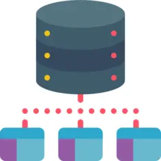 Database