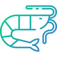 虾