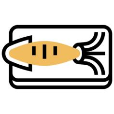 Squid