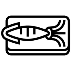 Squid