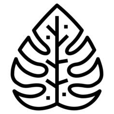 棕榈