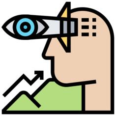 Vision
